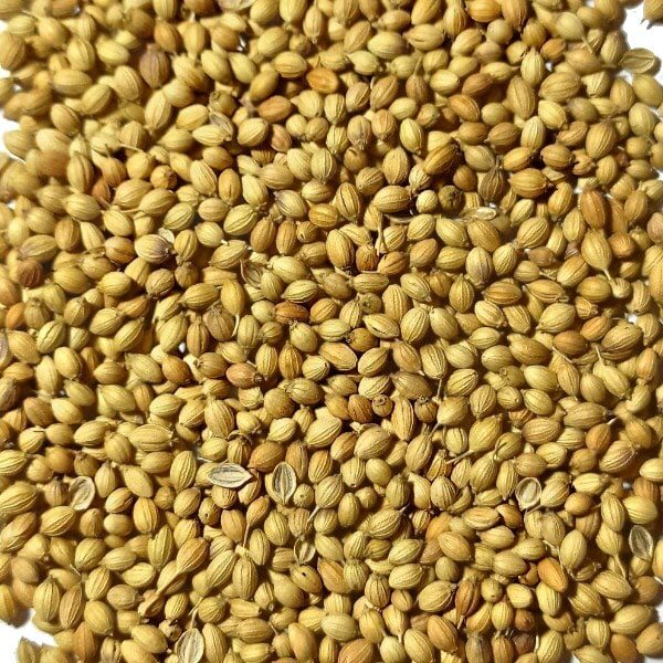 Dhane (Coriander Seeds) 500g
